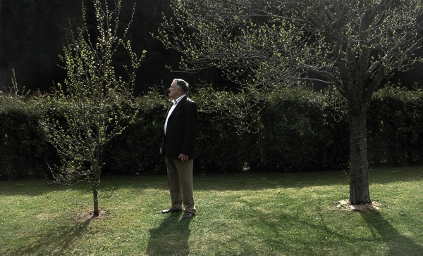 grandpa looking at the younger tree