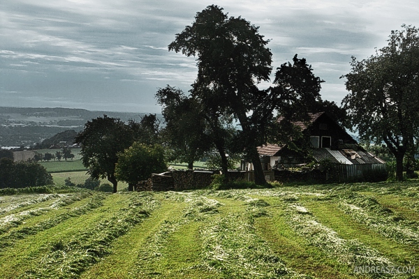 Gipsy House blue sky green gras hay